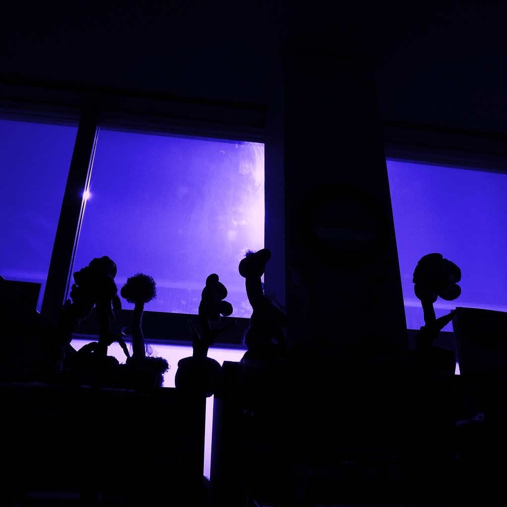 2009_0712_161557-R0010987