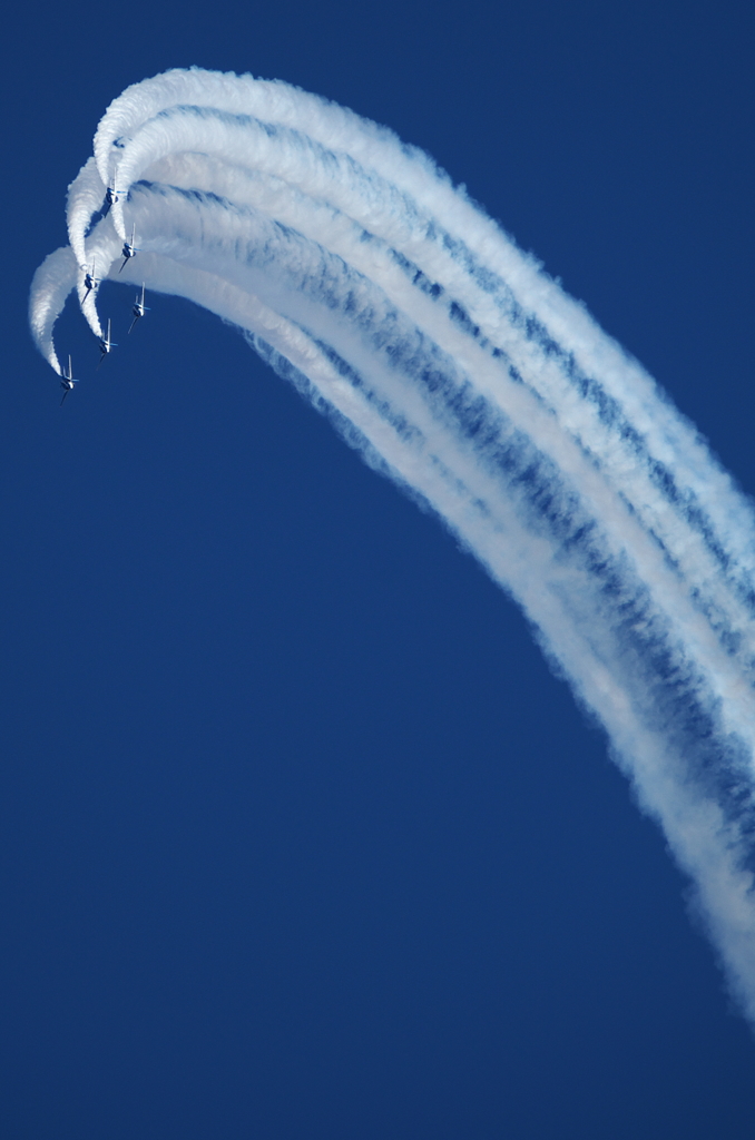 IMGP7871