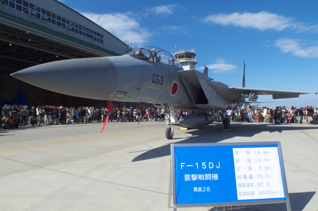 F-15DJ