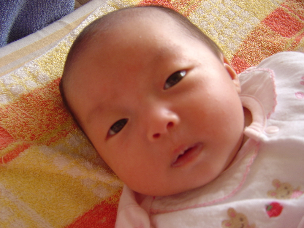 DSC00350