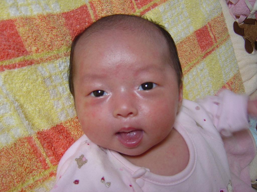 DSC00353