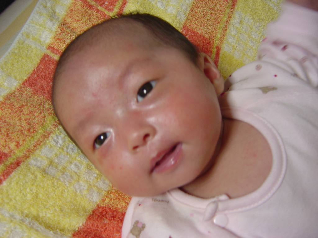 DSC00351