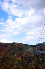 九重"夢"大吊橋