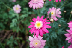 P1000389
