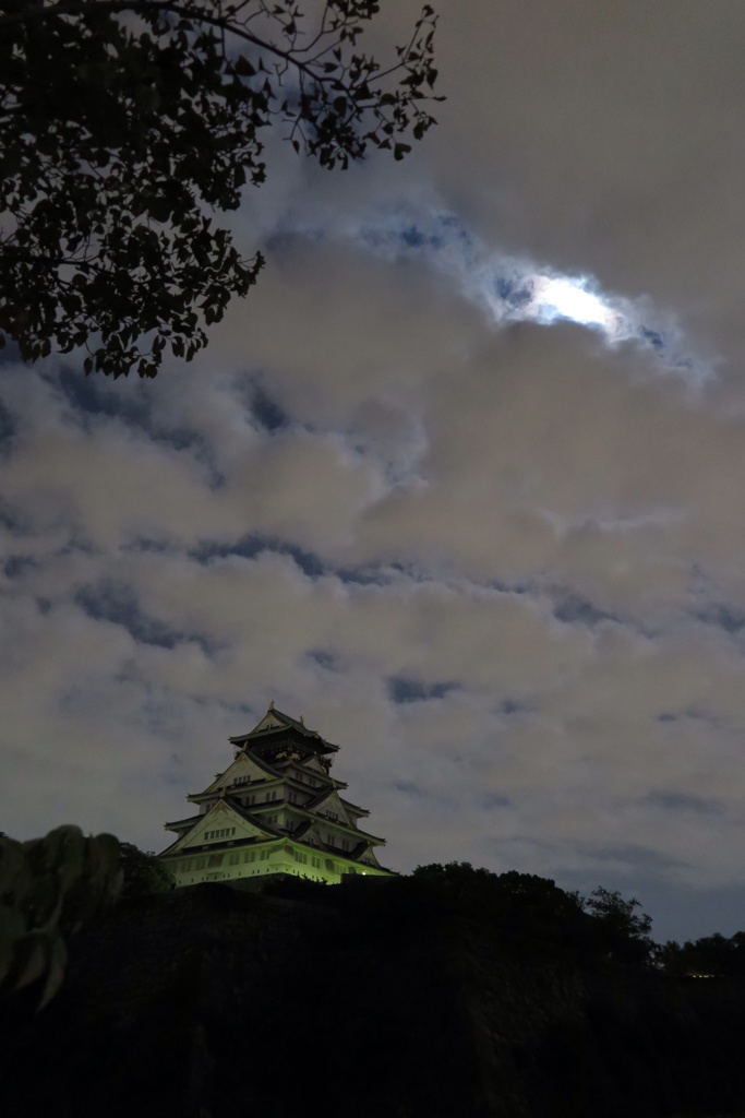 夜の大阪城
