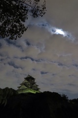 夜の大阪城
