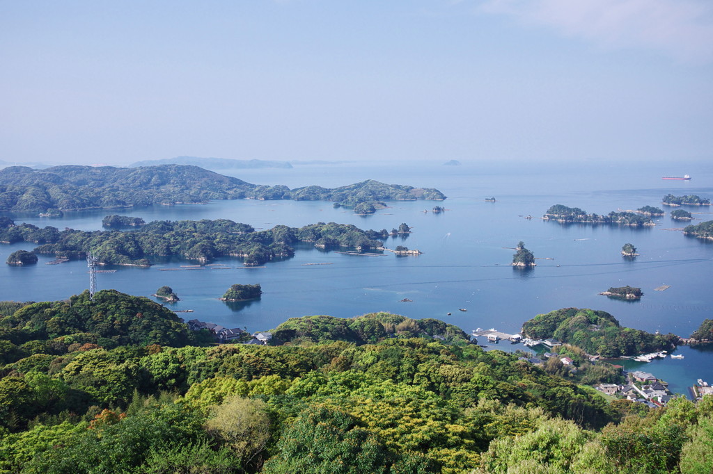 P1000244a