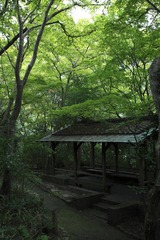 有馬　もみじ公園