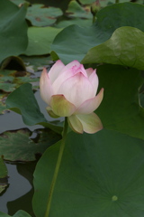 P1010252