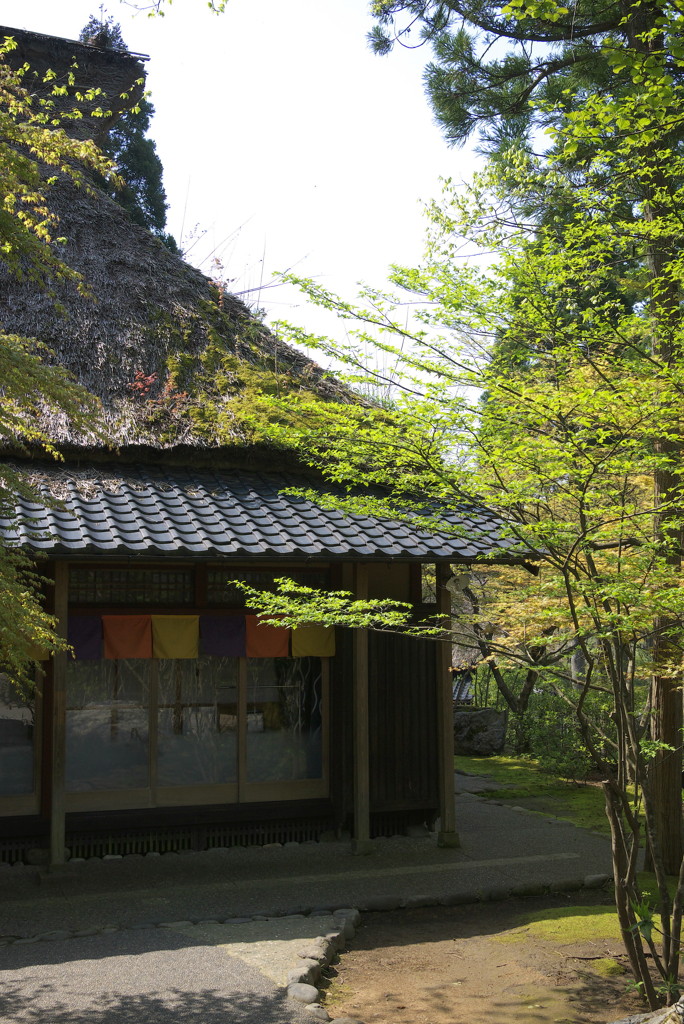 P1000492a
