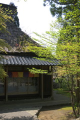 P1000492a