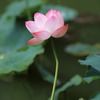 IMG_3515a