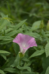 P1010275