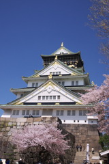 大阪城　桜