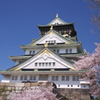 大阪城　桜