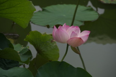 P1010249