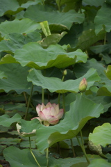 P1010260