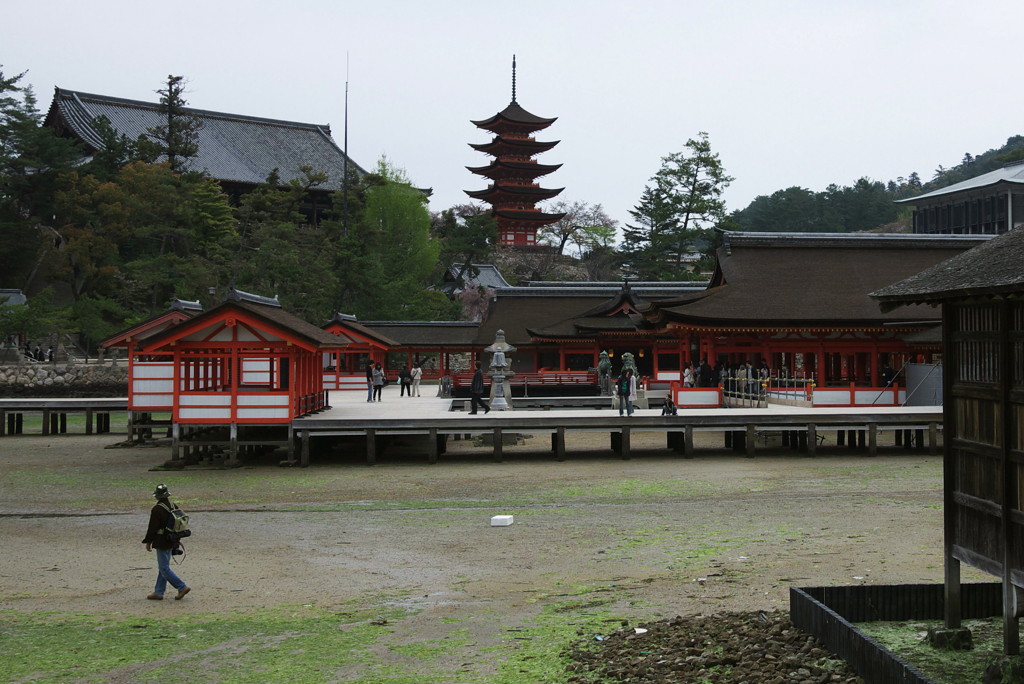 P1000309a