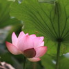 IMG_3545b