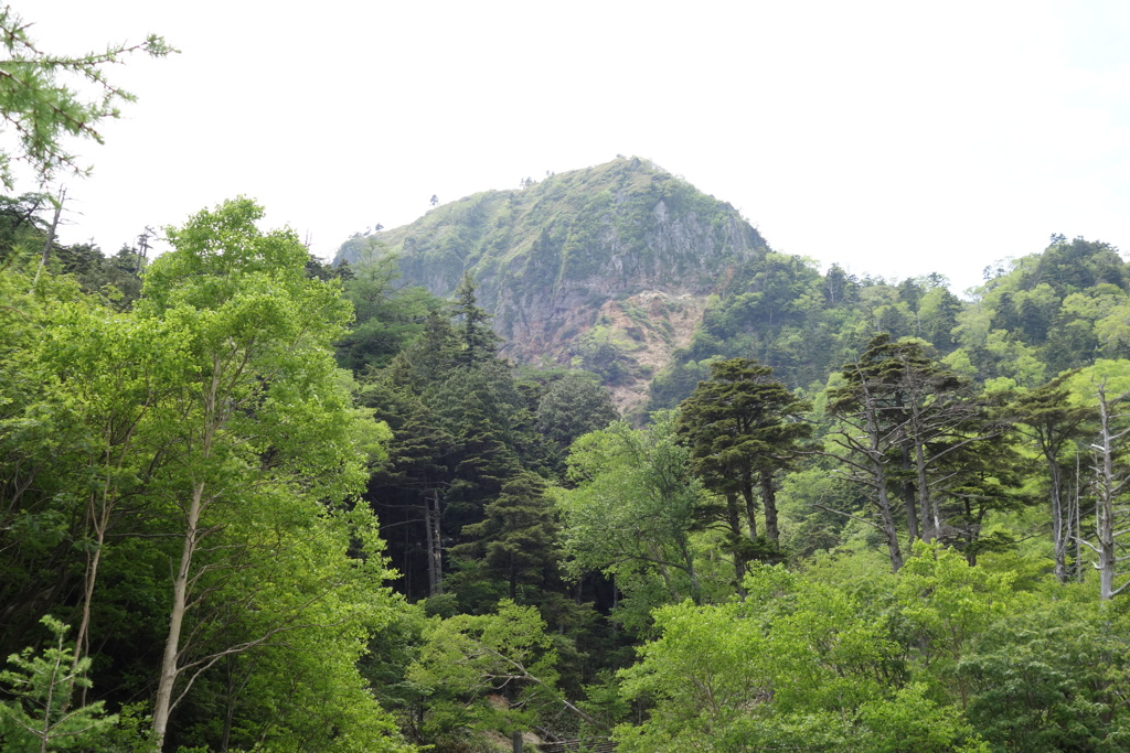 金精峠は今