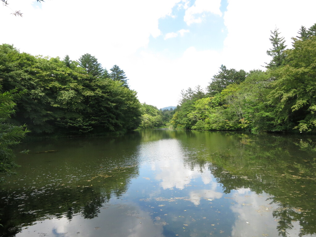 軽井沢　雲場池にて