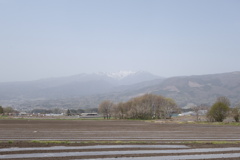 昭和村の景色