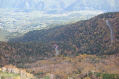 乗鞍の紅葉　位ヶ原山荘を望む