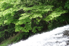 滝の始まり　湯滝