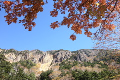日光で見つけた秋　金精峠にて