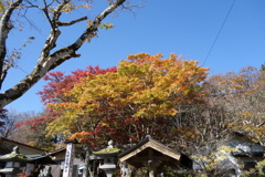 軽井沢熊野神社の紅葉
