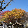 軽井沢熊野神社の紅葉