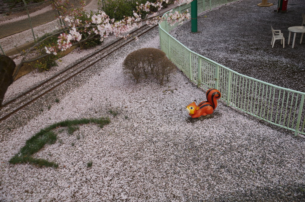 桜　また逢う日まで
