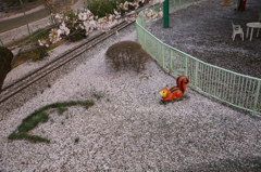 桜　また逢う日まで