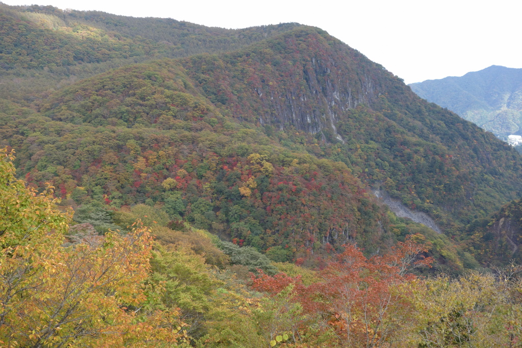 いろは坂の紅葉