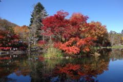 軽井沢雲場池の紅葉