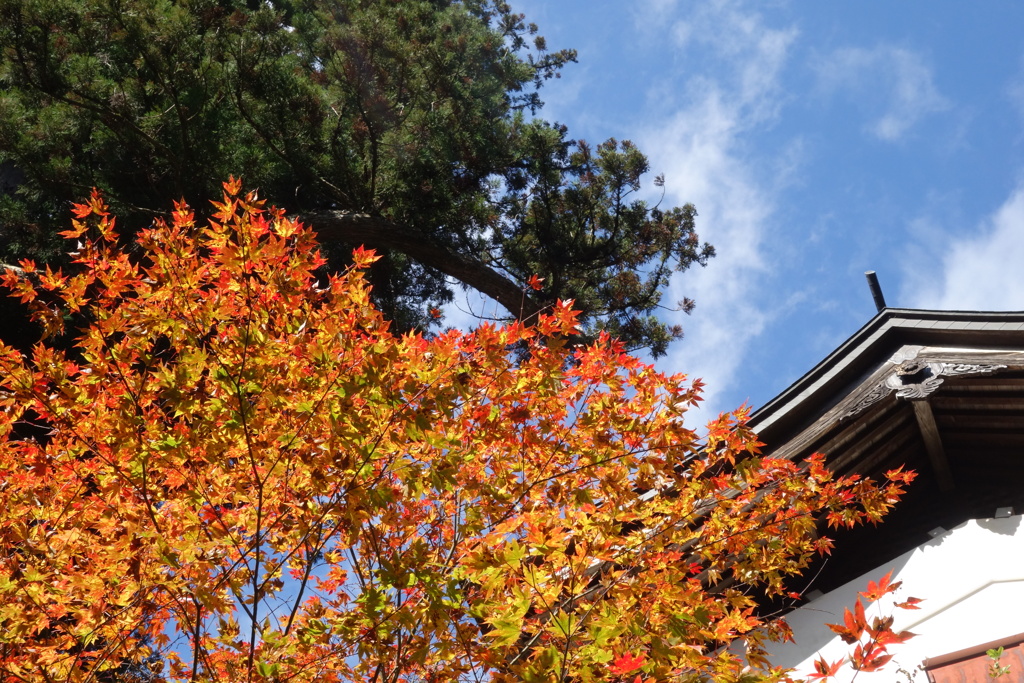 榛名神社の紅葉