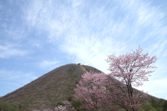 榛名富士と桜