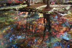 雲場池　水に映る紅葉
