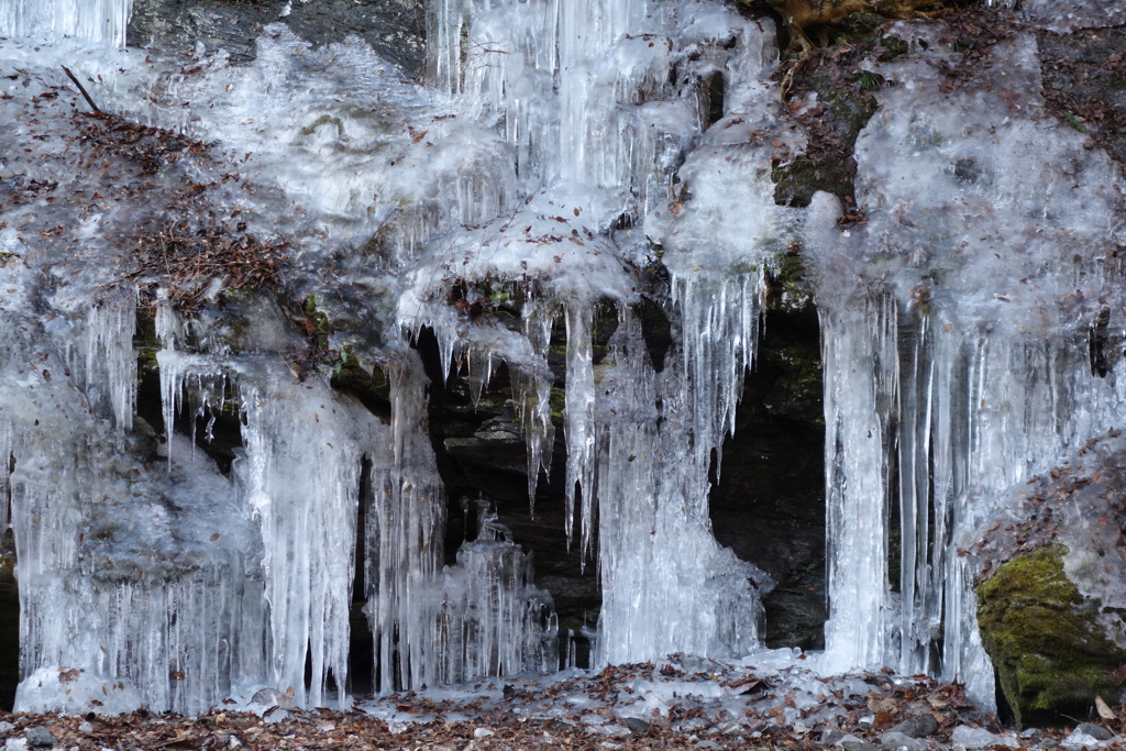 氷柱の世界　三十槌の氷柱（4）