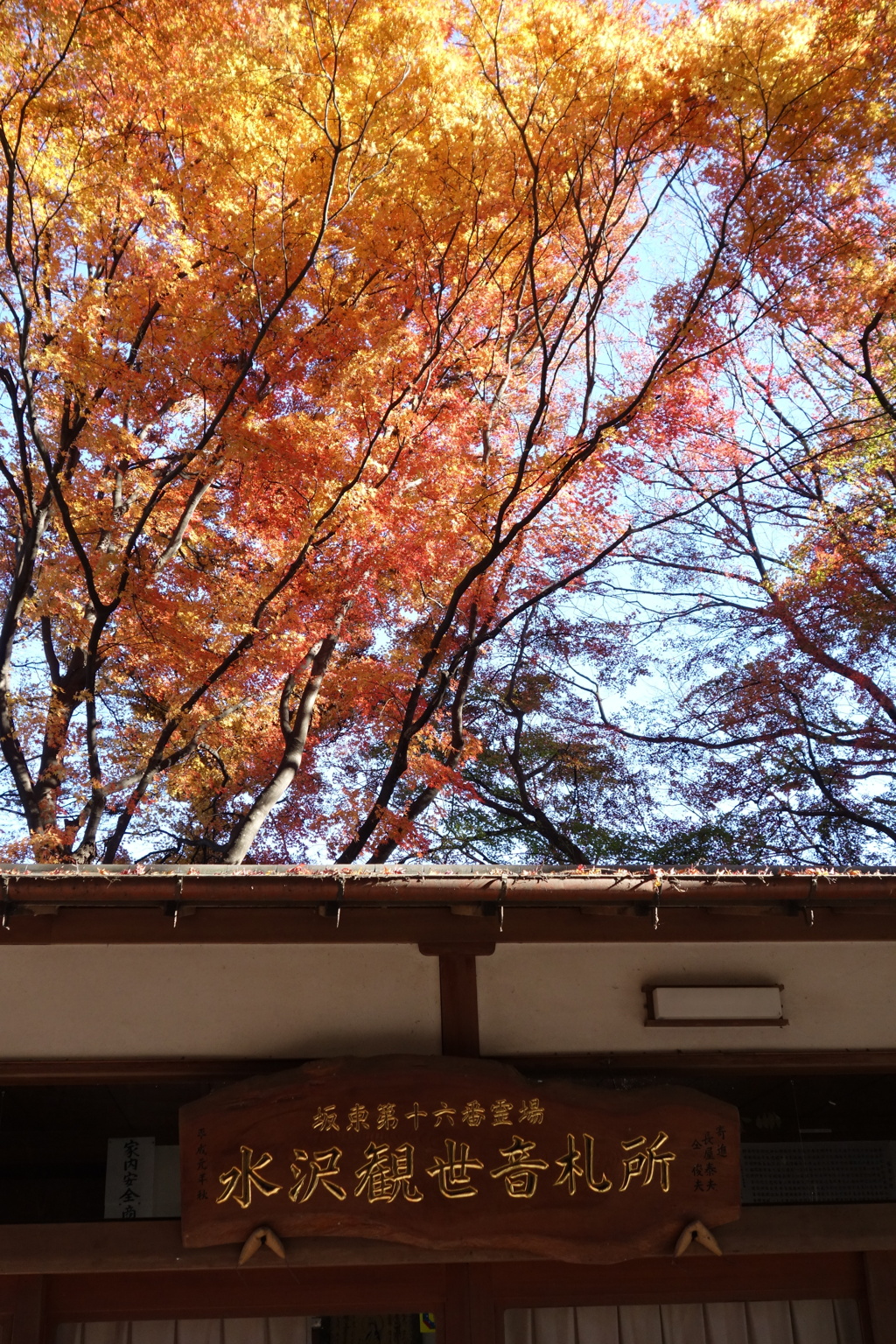 水沢観音の紅葉