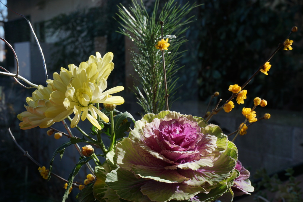 冬の花　2
