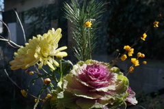 冬の花　2