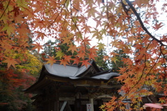 宝登山神社　紅葉　3