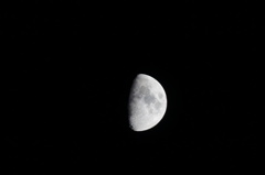 今夜の月　