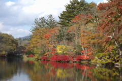 軽井沢　雲場池の紅葉