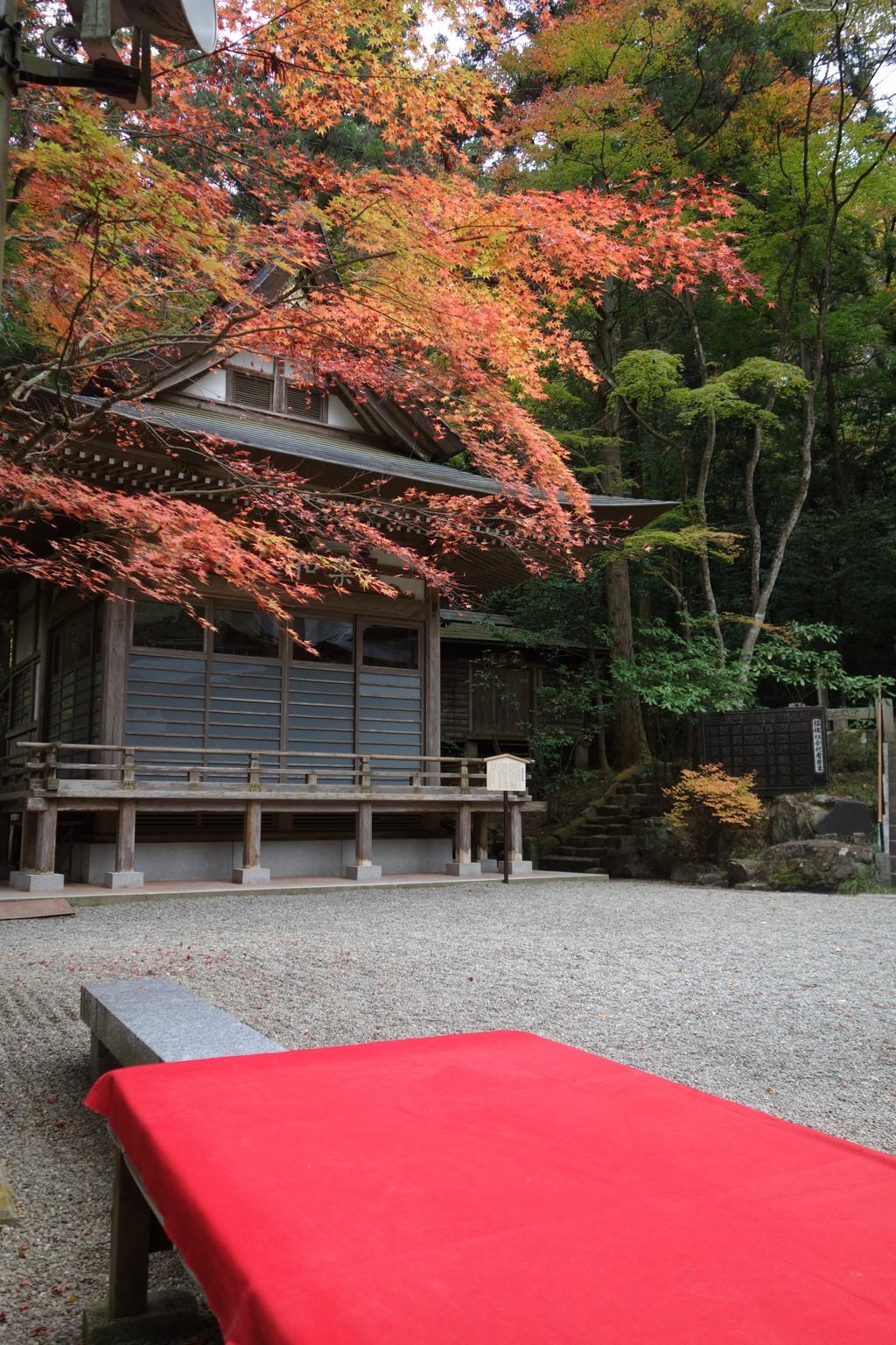 宝登山神社　紅葉　2