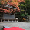 宝登山神社　紅葉　2