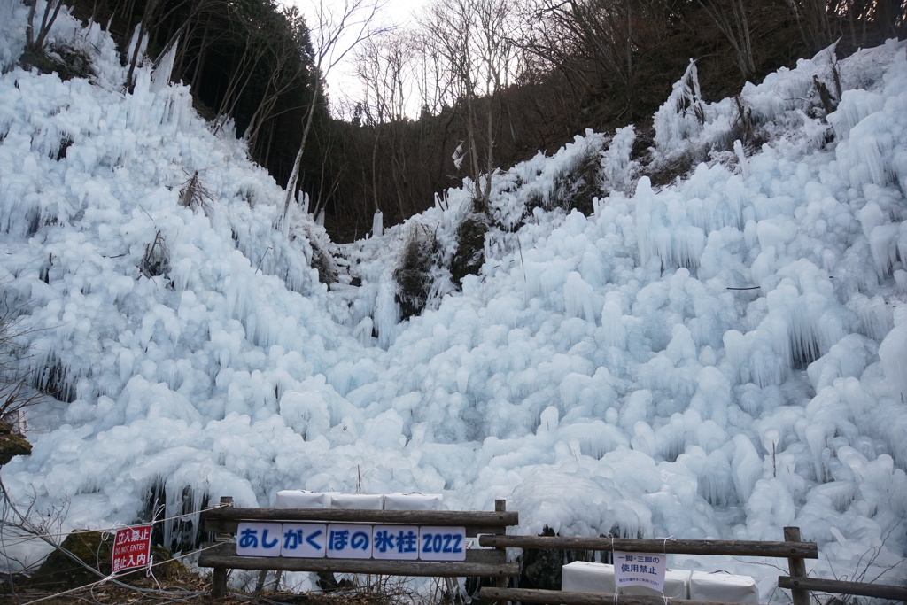 氷柱の美　あしがくぼの氷柱1