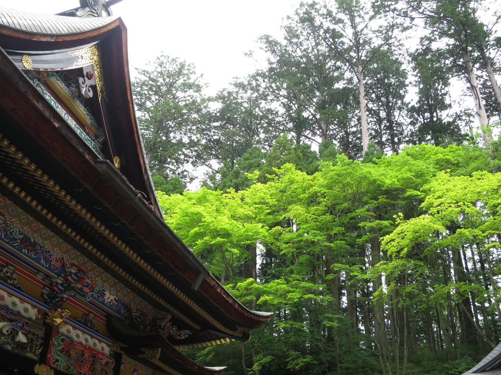 三峰神社　新緑