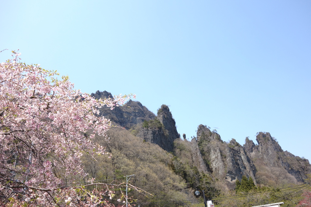 桜と妙義山
